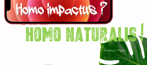 Home impactus logo